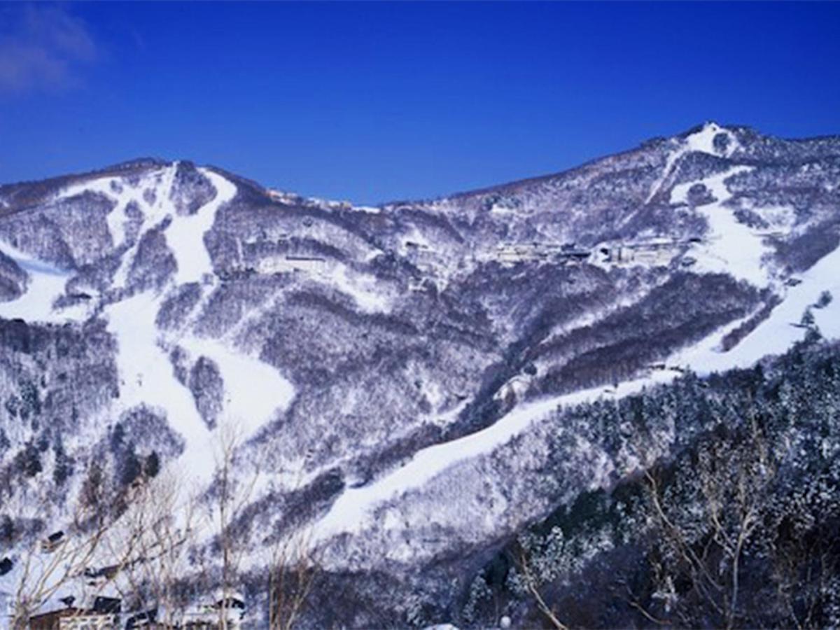 Shiga Swiss Inn Shiga Kogen Eksteriør billede