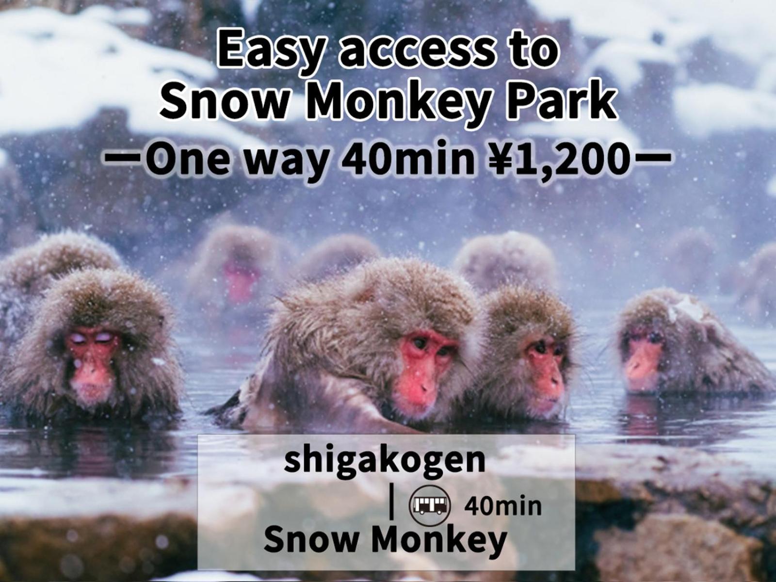 Shiga Swiss Inn Shiga Kogen Eksteriør billede
